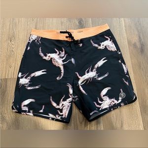 ROARK | chiller series boardshorts